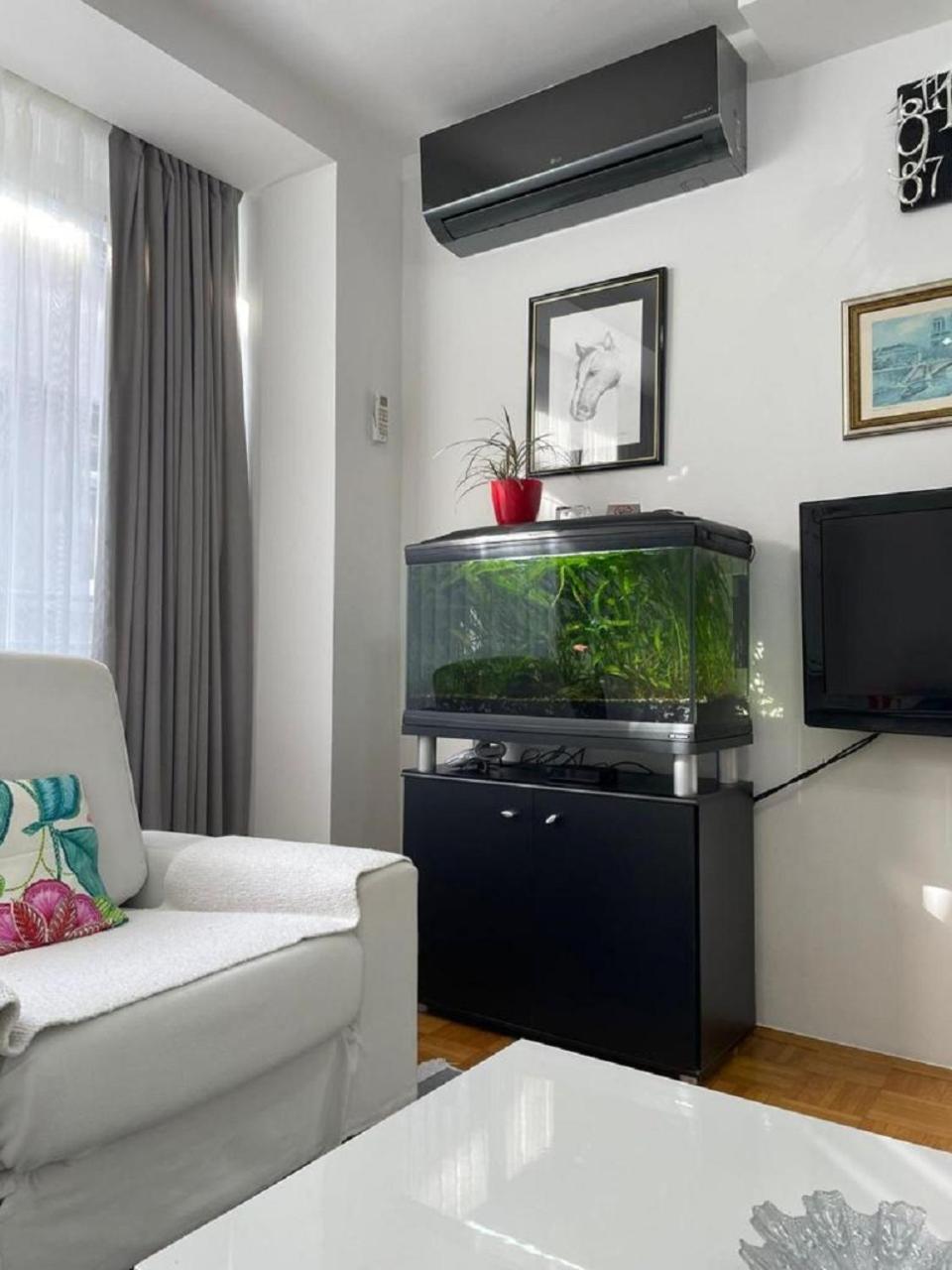 Sase Apartment سراييفو المظهر الخارجي الصورة